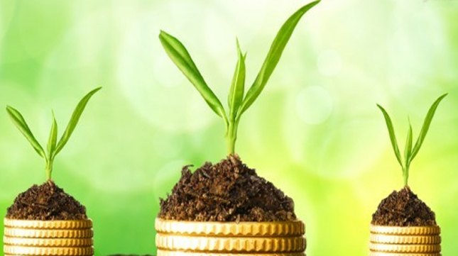 如何鑒別山寨幣、空氣幣、傳銷幣？本文告訴你